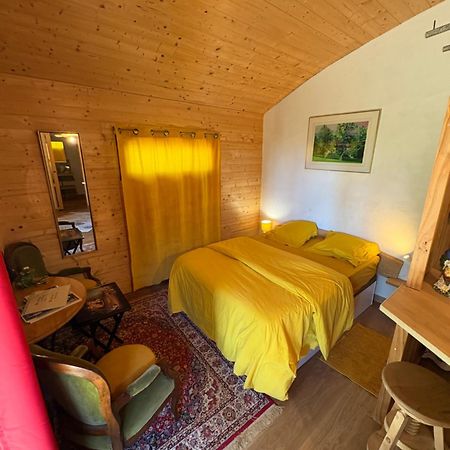 Chalet Grenouille Domaine De La Mamounette Champclause Zewnętrze zdjęcie