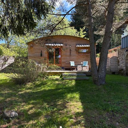 Chalet Grenouille Domaine De La Mamounette Champclause Zewnętrze zdjęcie