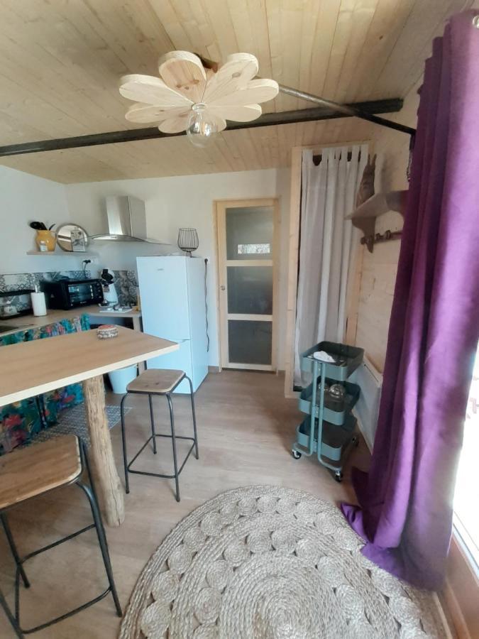 Chalet Grenouille Domaine De La Mamounette Champclause Zewnętrze zdjęcie