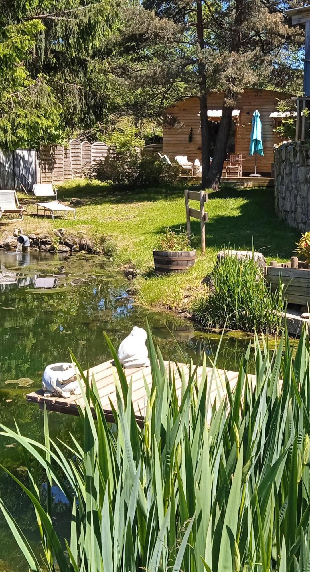 Chalet Grenouille Domaine De La Mamounette Champclause Zewnętrze zdjęcie