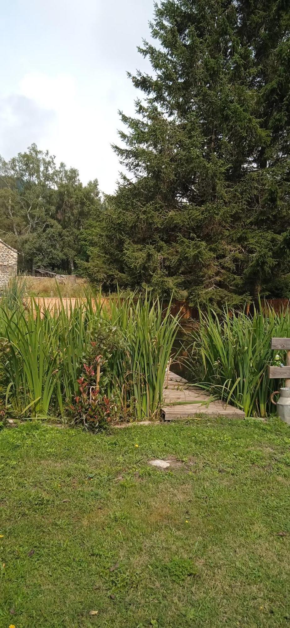 Chalet Grenouille Domaine De La Mamounette Champclause Zewnętrze zdjęcie