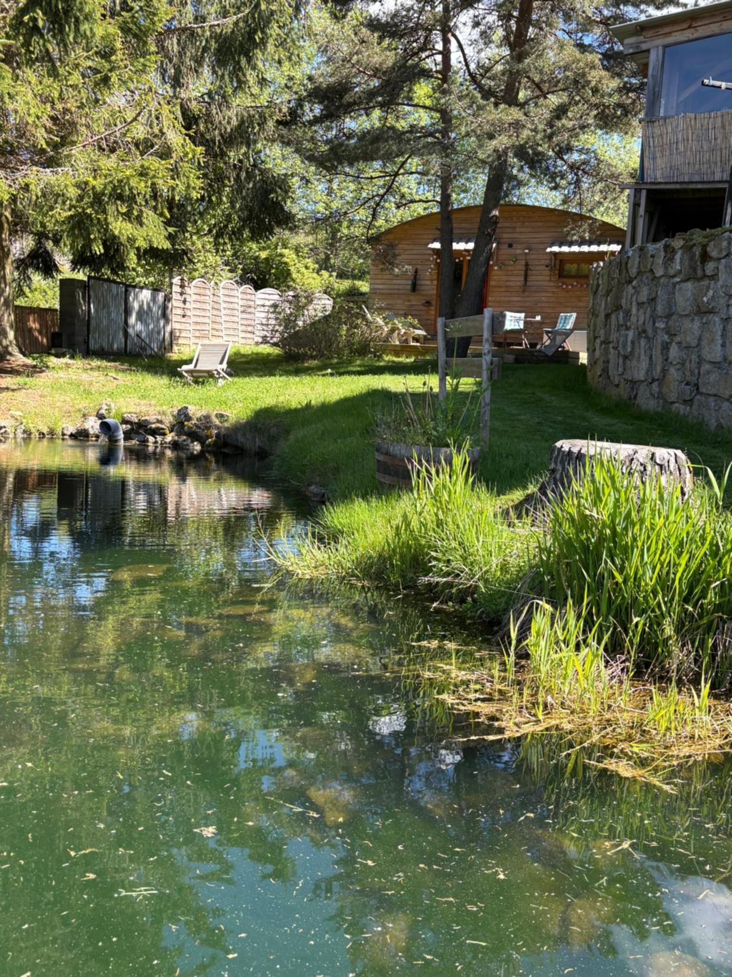 Chalet Grenouille Domaine De La Mamounette Champclause Zewnętrze zdjęcie